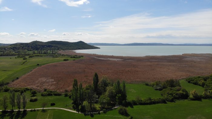 aszofoilakasok.hu
